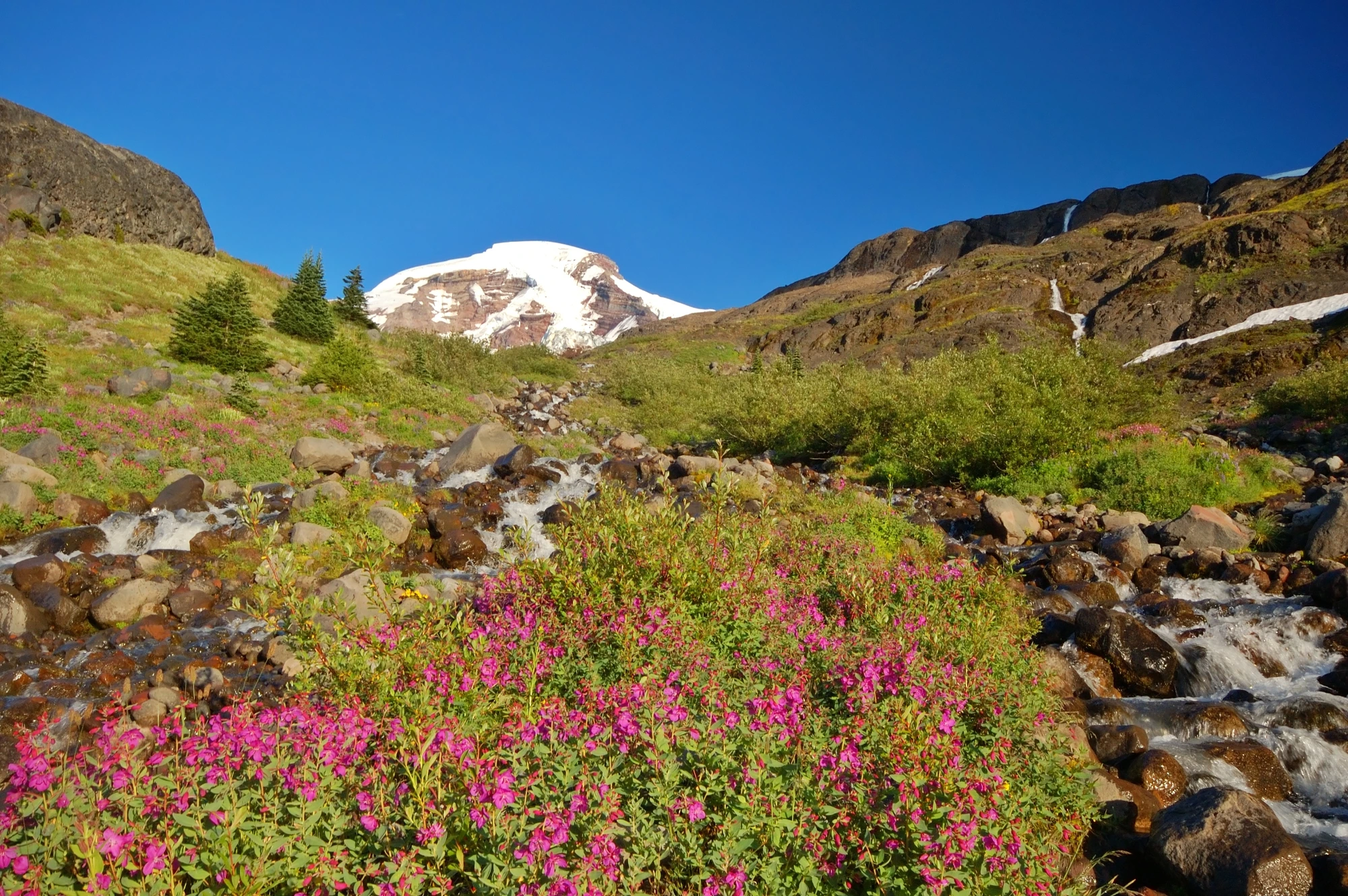 King County Property Management